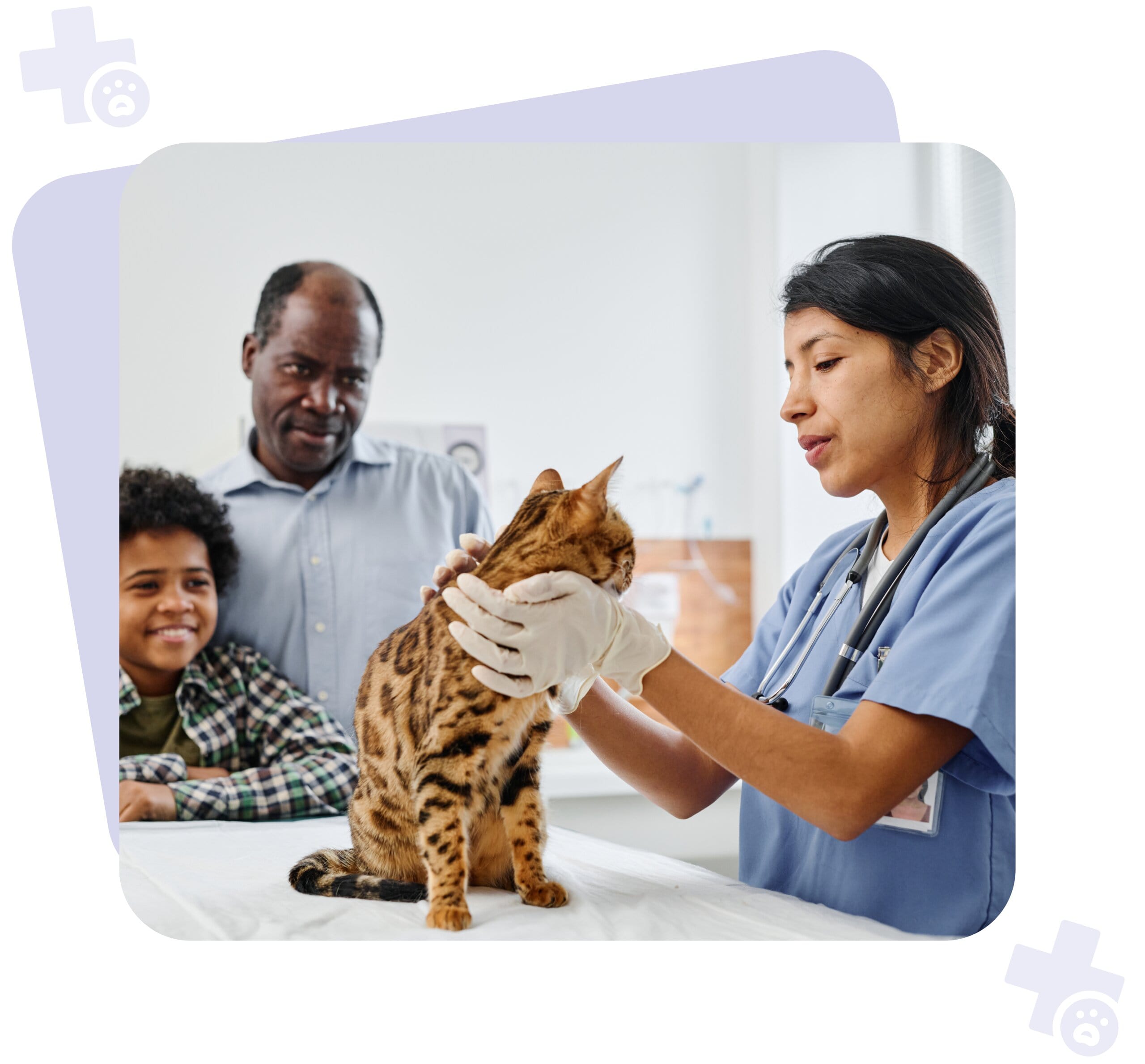 A woman vet checking a cat on the table while the family watches, surrounded by paw and cross icons.